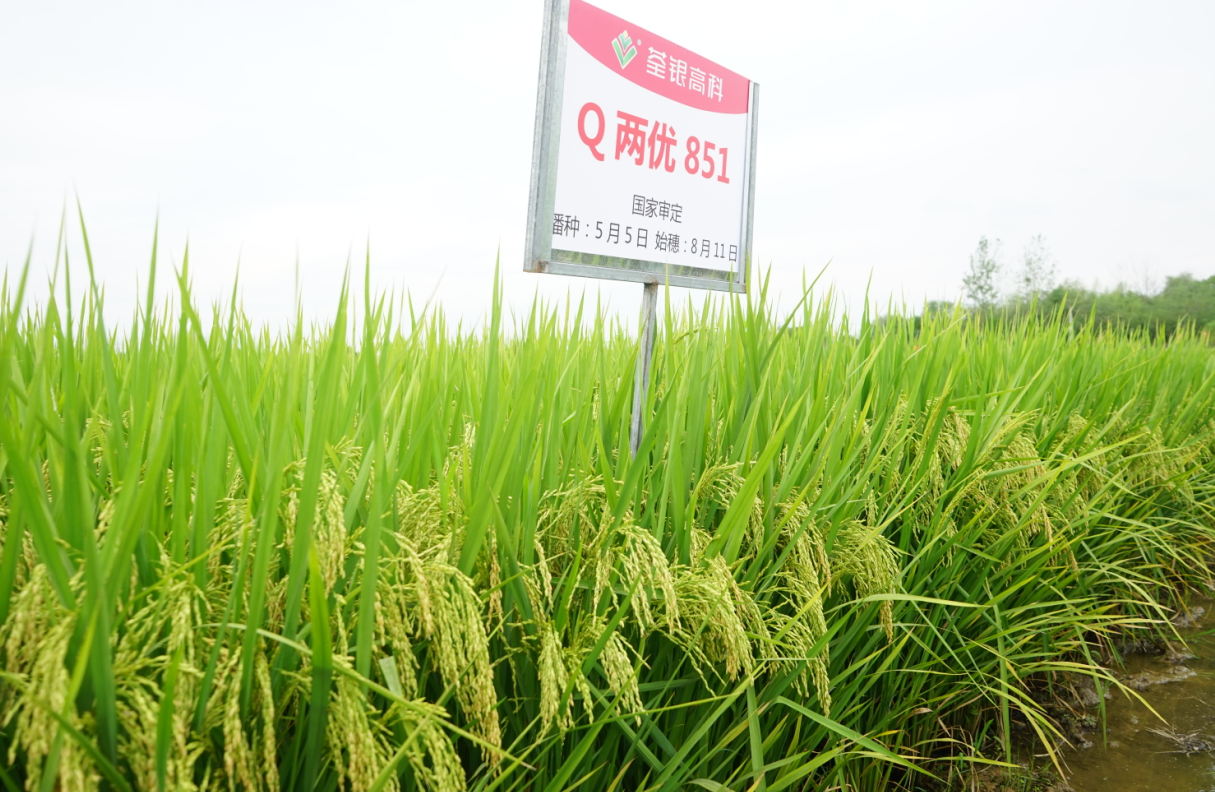 微信截圖_20200217170809.png 微信截圖_20200217170809.png