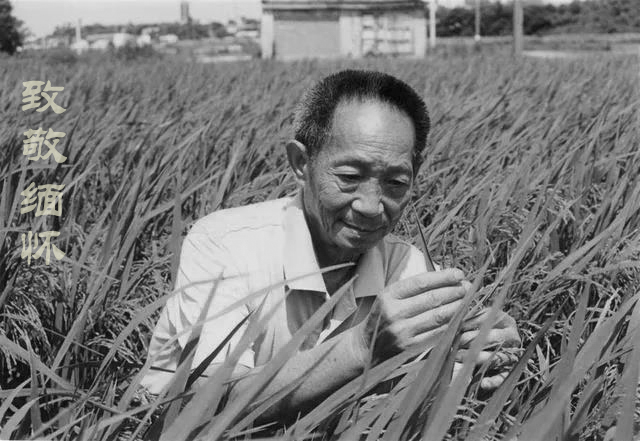 微信圖片_20210522180848.jpg 微信圖片_20210522180848.jpg